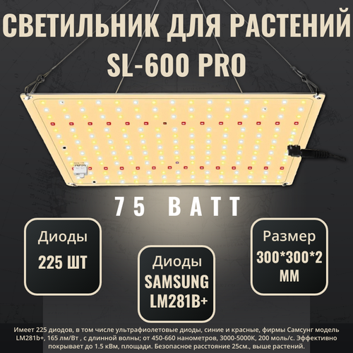    /     / quantum board ( ) SL-600 pro;  Samsung LM281b+, 225 . 4000, 450-660 .  