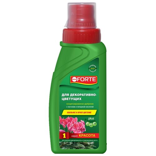 ���� ������ ����������� ��������� ������� ��� �����������-�������� �������� 285 ��, Bona Forte ������ ������