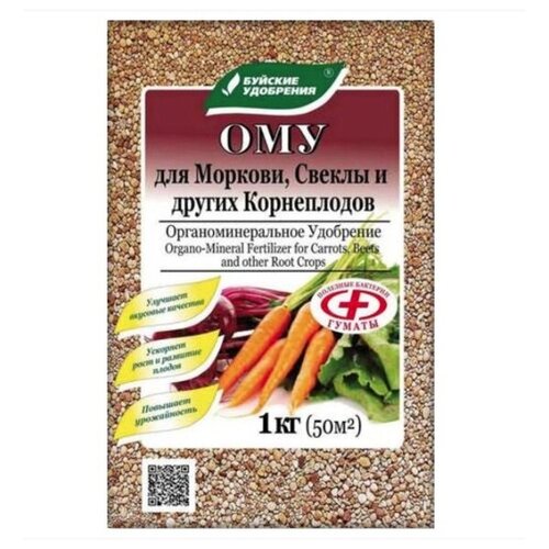 ���� ����������� ��������������� ����������������� ��������� 