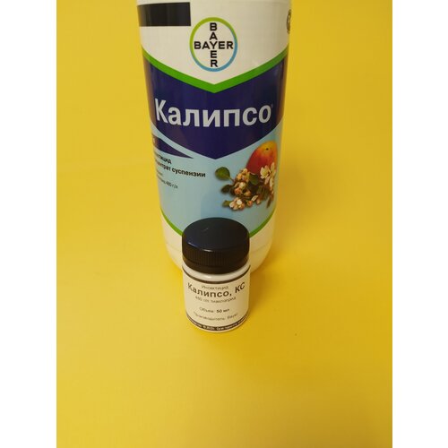 ���� ���������� ������� 50 �� ������ ������