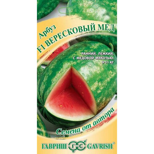 ���� ������ ����� F1 ���������� ̸� 5 ���� ����� ������ ������ ������