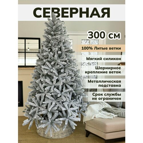 ���� ���� ������������� ���������� ����� �� ������ ������ ������