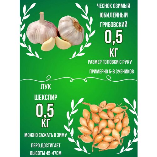 ���� ����� ������ ������ � ��� ����� 0.5 �� ������ ������