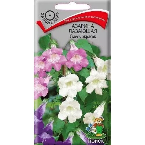 ���� ������� �������� ����� �������, ������ ����� 10�� ������ ������