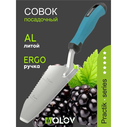 ���� ����� ������� `OLOV �������` �������������, ����������, ��� ������� ������ ������