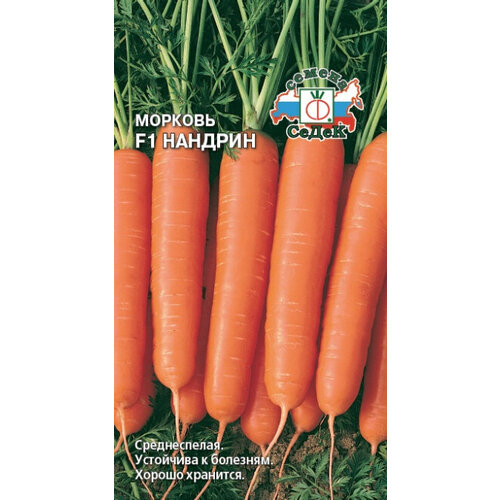 ���� ������ ������� ������� F1 100�� (�����) ������ ������