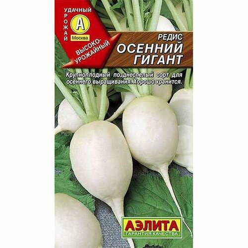 ���� ������ ����� ������� ������ (������) 3� ������ ������