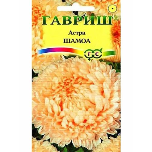 ���� ����� 