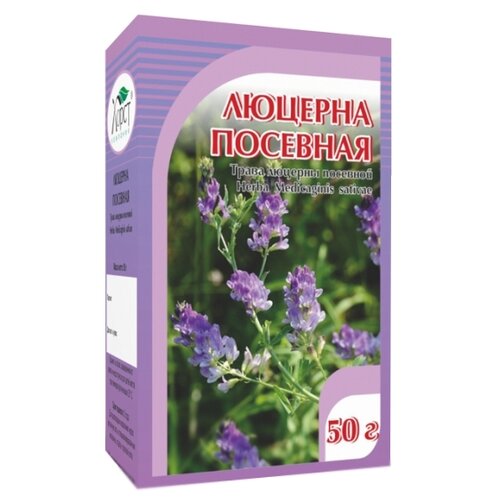 ���� ����� ����� ������� ��������, 50 � ������ ������