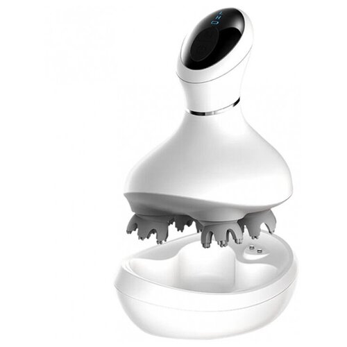 ���� �������� Rombica Wellness Tonta ������ ������