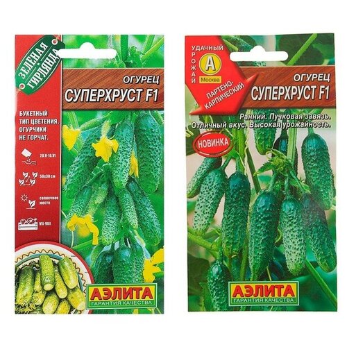 ���� ������ ������ 