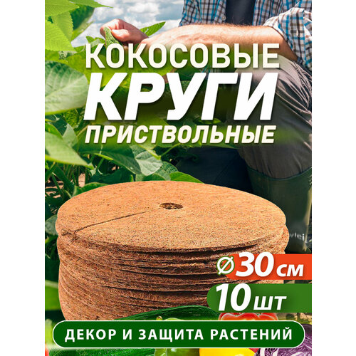 ���� ������������ ���� �� ���������� �������, ������� 30 ��, 10 ���� ������ ������