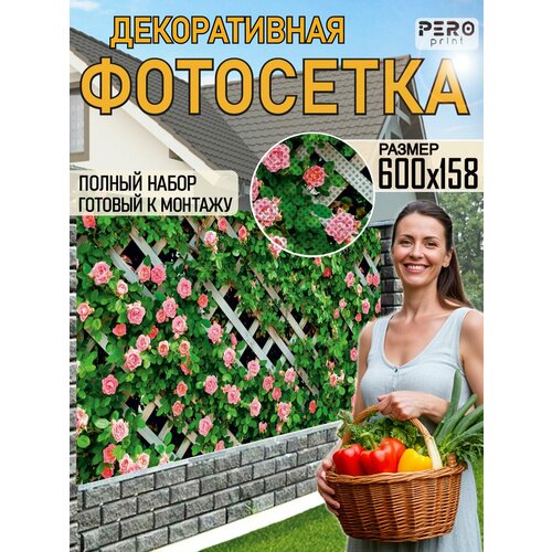 ���� ��������� ��� ������ 600�158�� ������ ������
