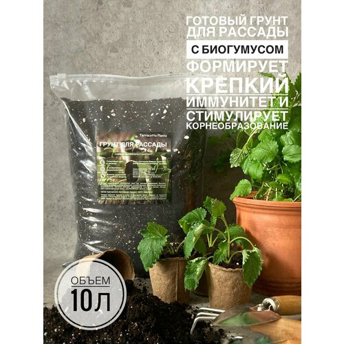 ���� ����� ��� ������� 10 ������ � ���������� ������������� Terracotta Plants �������� ������ ������ ������