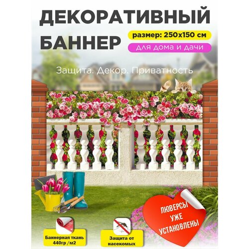 ���� ��������� ������ �� ����� � ��������� 250�150 �� ������ ������