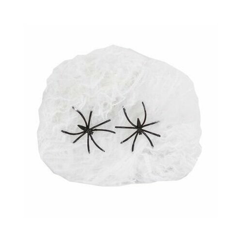 ���� ������������ ������������� ����� ������� �� �������� � ��������, ������������ ��������� ������ ������