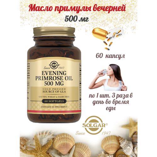 ���� ����� ������� �������� ������ Evening Primrose Oil Solgar 500 �� 60 ������ ������ ������