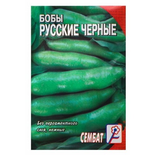 ���� ������ ���� 