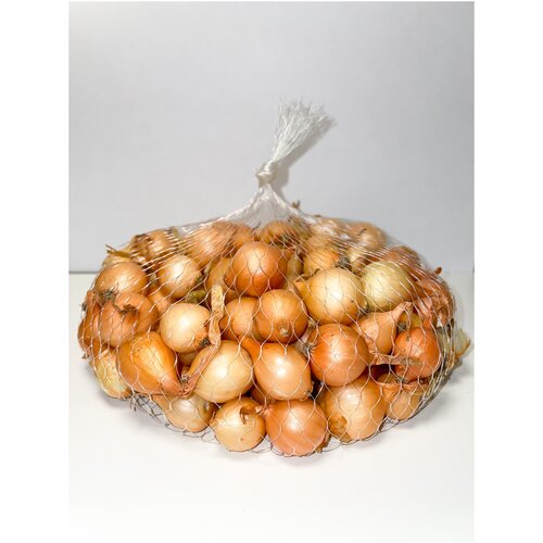 ���� ����� ���-����� ����������� ����� 10/21 (0,5 ��) ������ ������