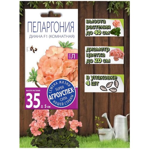 ���� ������ ��������� ������ ���������� ����� F1, ������ ��������� 4�� ������ ������