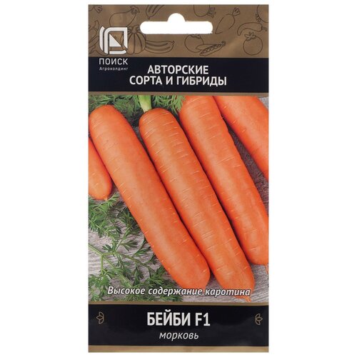 ���� ������ ����� ��������� ����� � ������� ������� 