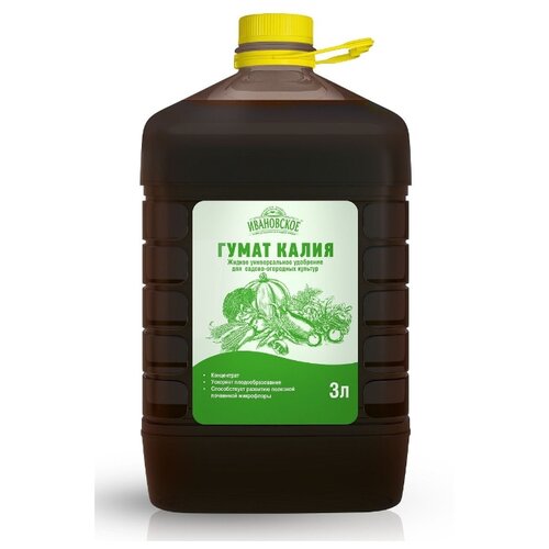 ���� ������ ������������� ��������� 