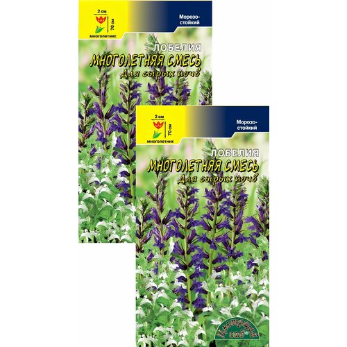 ���� ������� ����������� ���������������� (0,03 �), 2 ������ ������ ������