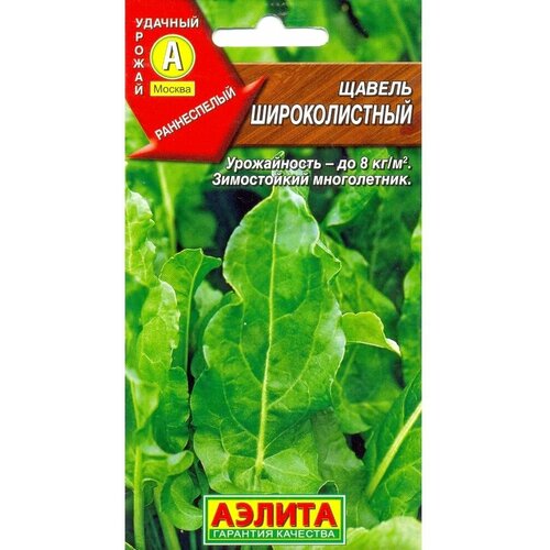 ���� ������ ������������� ������ ������