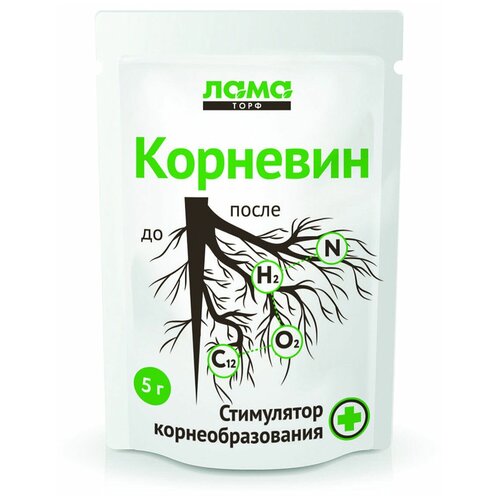 ���� ��������� �������� ��������, 0.005 �, 5 �, 1 ��. ������ ������