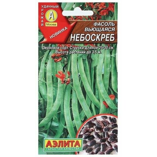 ���� ������ ������ �������� 