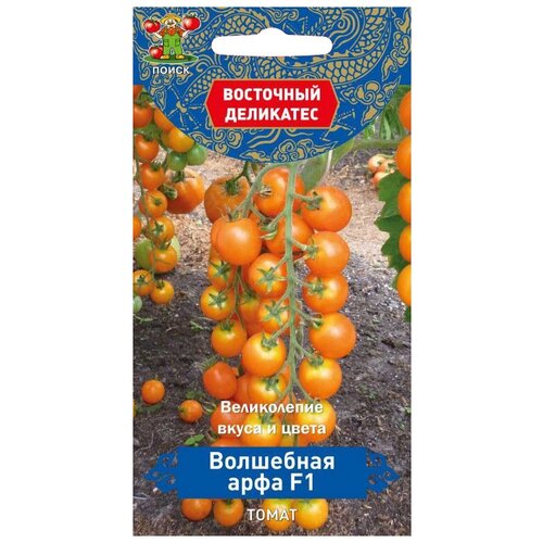 ���� ������ ����� ��������� ��������� ����� ��������� ���� F1 10 ��. ������ ������