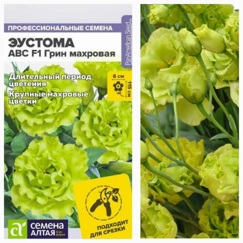 ���� ������� ��� ���� ��������/��� ���/�� 5 ��. ������ ������