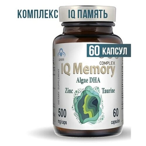   Memory          ,    , 60    -     , -, 