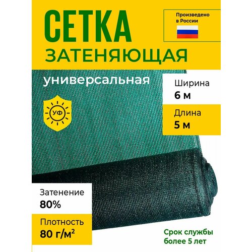 ���� ����� ���������� 6�5 �, 80 ��/�2, ��������� 80% ������ ������