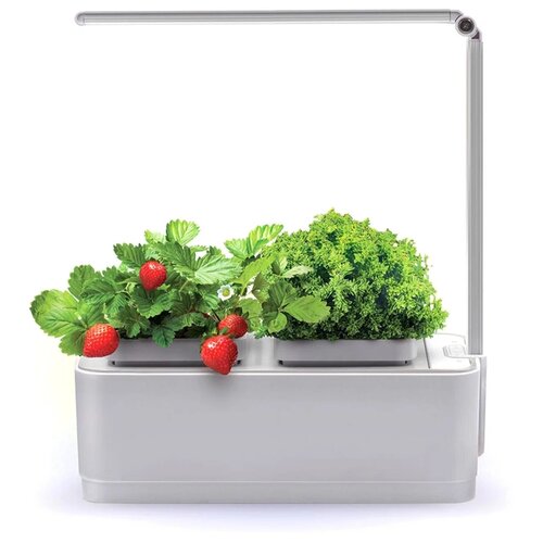 ���� ����� � ������� �����-��� iGarden IGL2021, 1 ��., ����� ������ ������