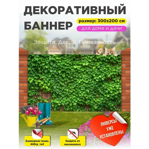 ���� ��������� ������ �� ����� 300 �� � 200 �� � ��������� ������ ������