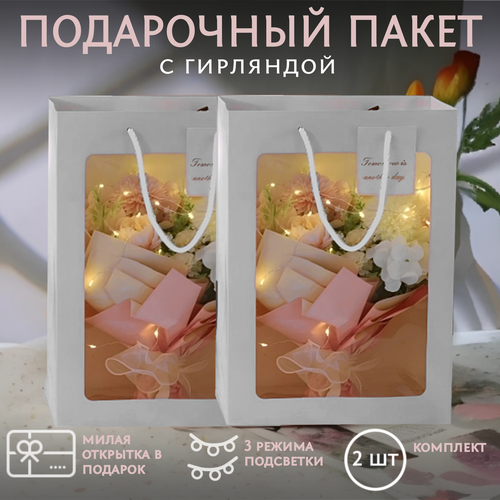 ���� ����� �������� 2 ����� 35*25*15 ���������� � ����� � ��������� /���������� �������� ZX/����� ������ ������