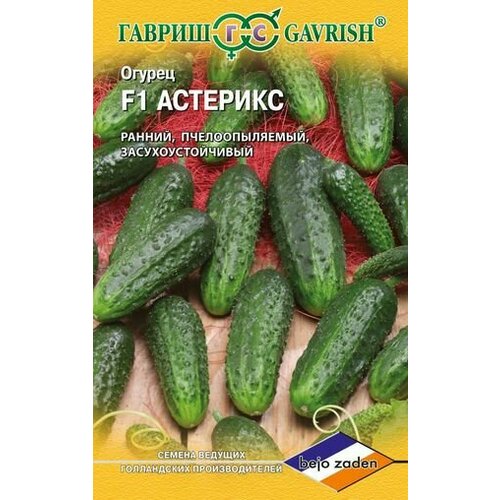 ���� ������ ������ �������� F1 8�� ������ (������) ��������� ������ ������