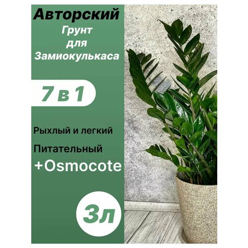 ���� ����� ��� ������������� 3� / ������� ������ ������