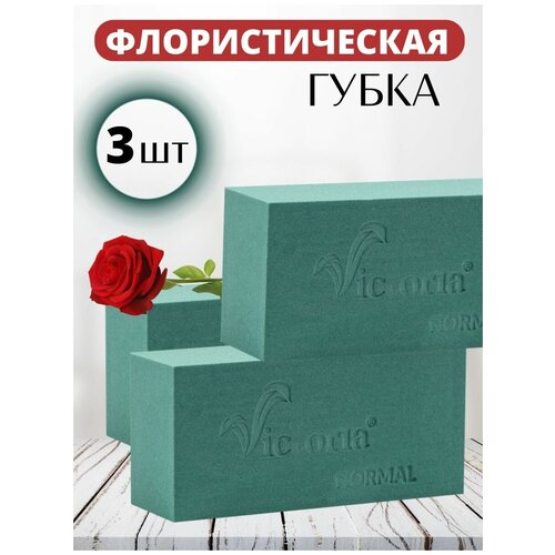 ���� ����� �������������� ������ ������