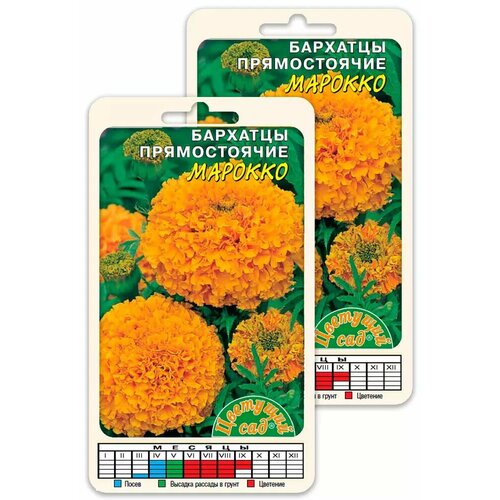 ���� ������ �������� ������������ ������� �������� ���, 2 �� ������ ������