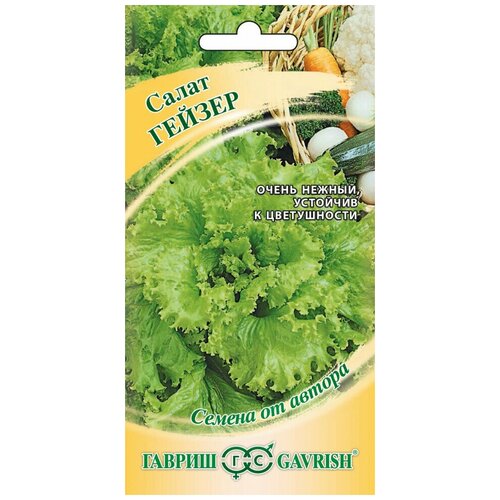 ���� ������ ����� �������� ������, 0,5�, ������, ������ �� ������, 10 �������� ������ ������