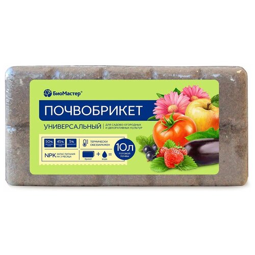 ���� ����������� ��������� ������������� ����������, 10 �, 0.6 �� ������ ������