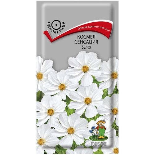 ���� ������ ����� ������ �������� ����� 0.3 � ������ ������