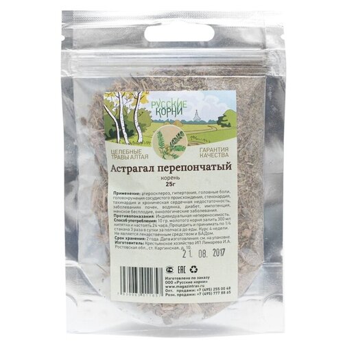 ���� ������� ����� ������ �������� ������������, 25 � ������ ������