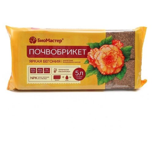 ���� ����������� ����� ������� 5 � (���������) ������ ������