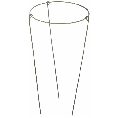 ���� ����� ������� �������, 1 ������, h30 ��, d15 ��, ������ ������ ������