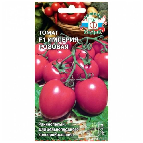 ���� ������ ������ ������� ������� ������ ������