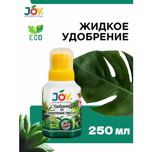     JOY   , 250   -     , -, 