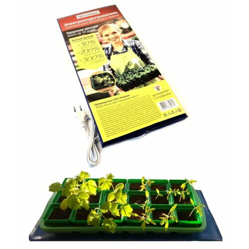 ���� �������������������� ��� ������������ ����� ������� 